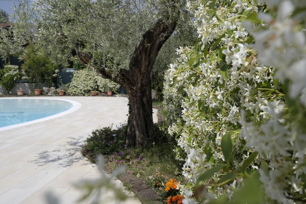 Campeggio Delle Rose Moniga del Garda 外观 照片